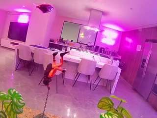 voyeurcam casa salsa fishtank